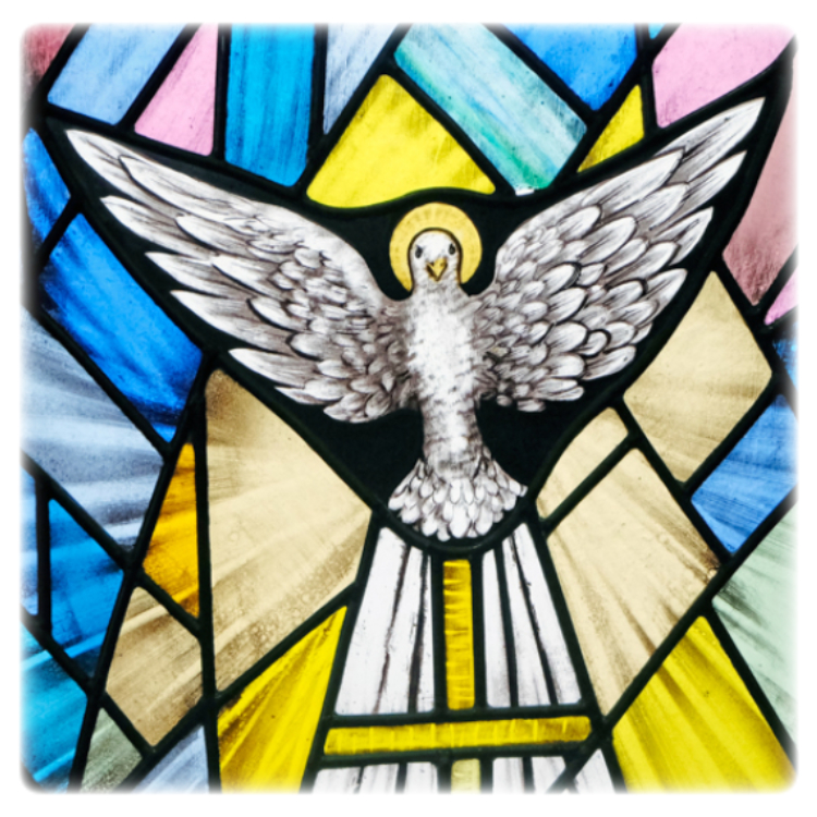 Holy Spirit - a dove in stained glass