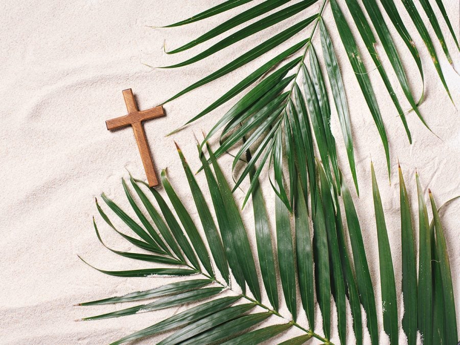 Palms & Crucifix